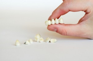 Porcelain crowns, bridge (dentistry), dental plate